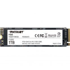 PATRIOT P300 1TB
