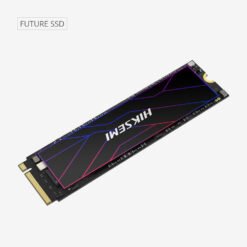 HikSemi FUTURE 512GB