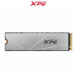 XPG S60 1TB