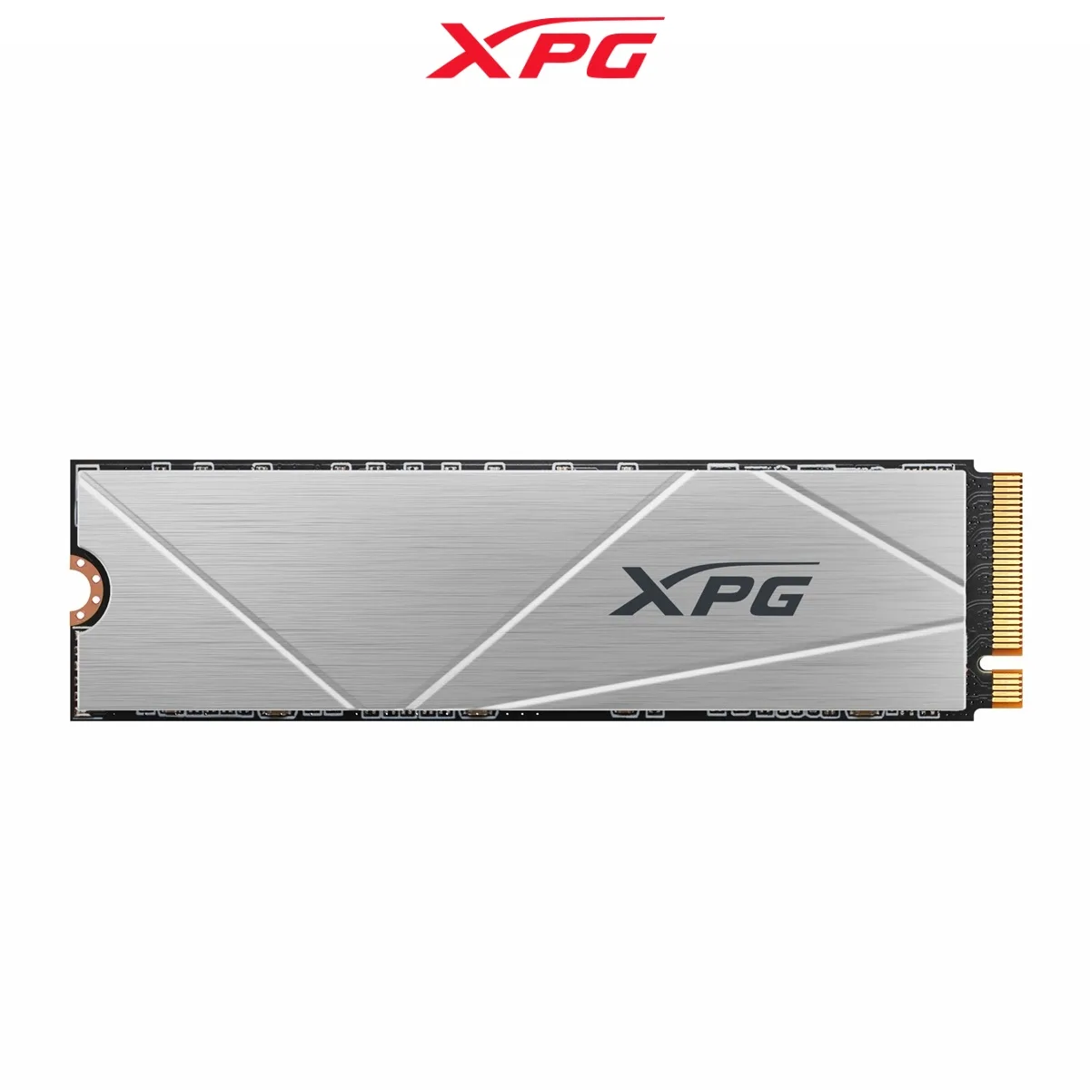 XPG S60 2TB