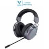RAPOO VH800
