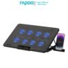 RAPOO CF300